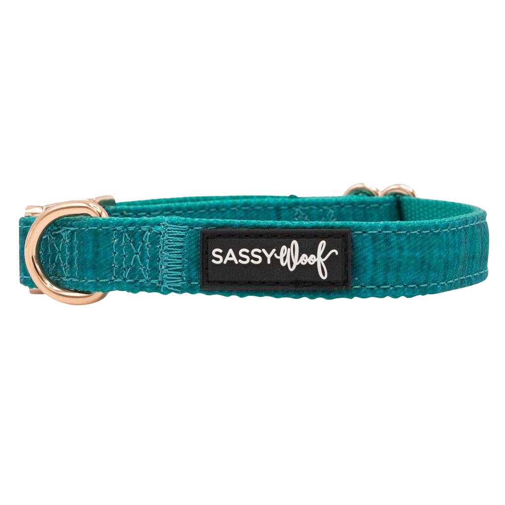 Sassy Woof dog collar - Napa
