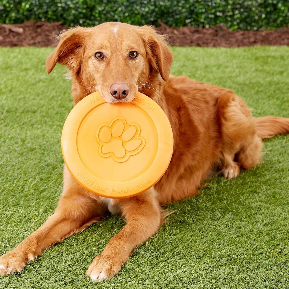 West Paw Zogoflex zisc dog frisbee - orange